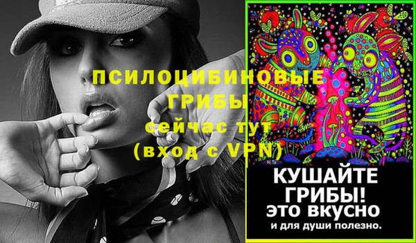 эйфоретик Алексеевка