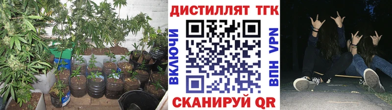 ТГК Wax  Тихвин 