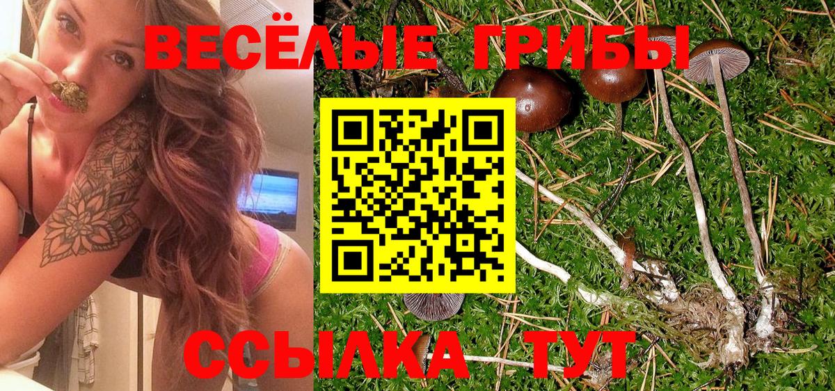 Псилоцибиновые грибы Psilocybine cubensis  Галлюциногенные грибы мухоморы  Тихвин  Вход с VPN 