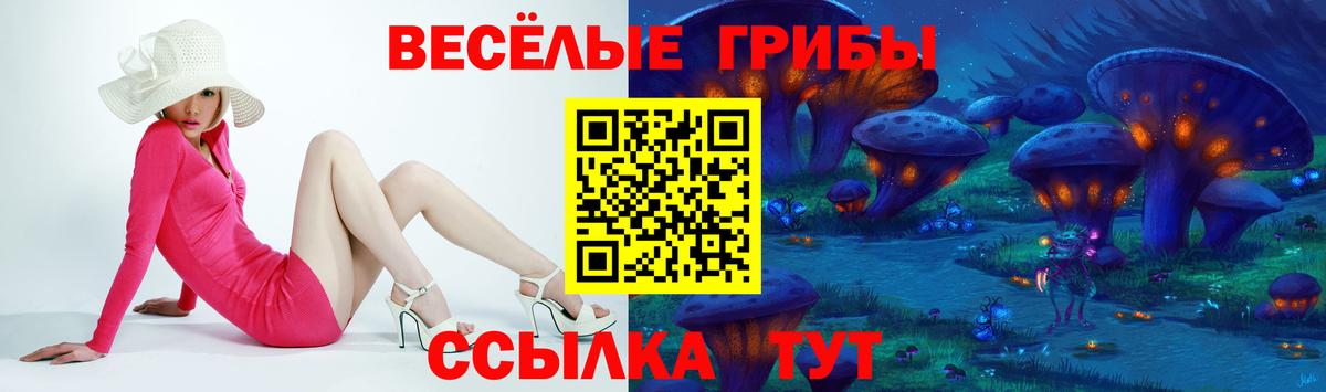 Галлюциногенные грибы Cubensis Тихвин